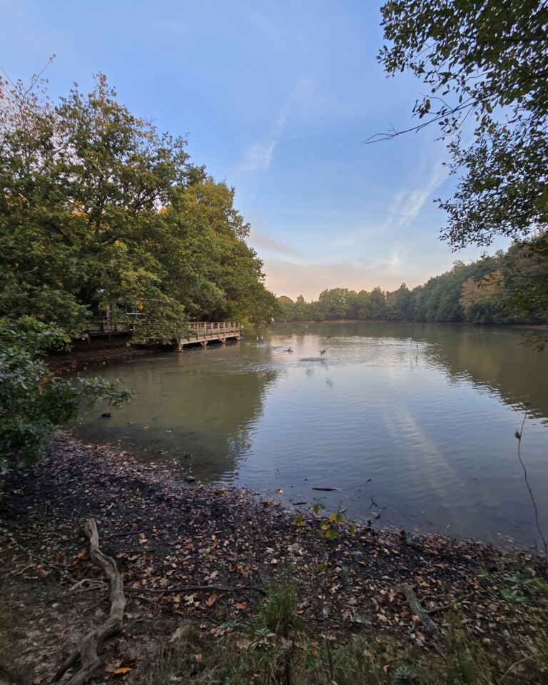 Randonnée au bord de l'eau en forêt de Grasla