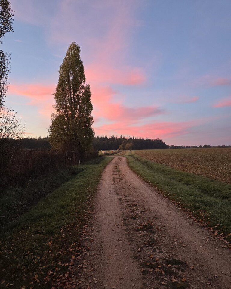 Chemin de randonnée avec lever du soleil