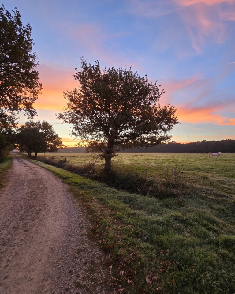 Chemin de randonnée en vendée