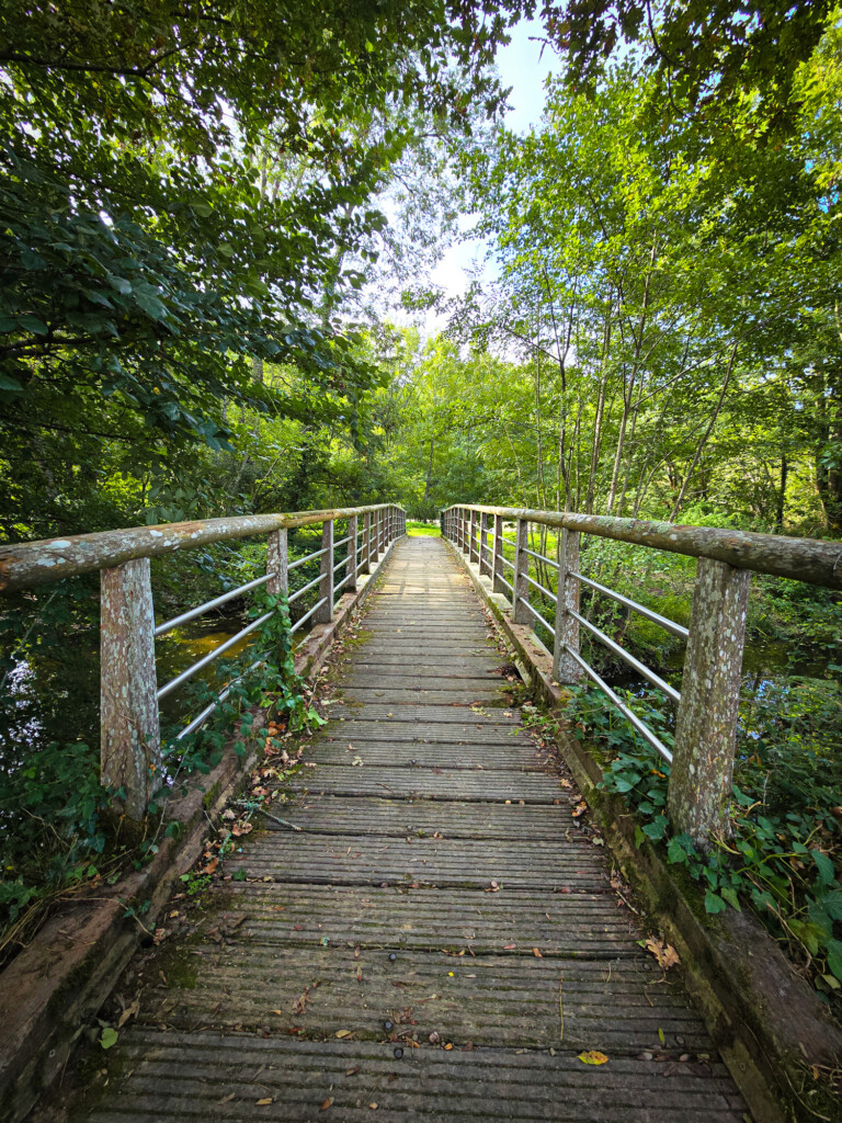 Pont en bois sur un circuit de randonnée en Vendée