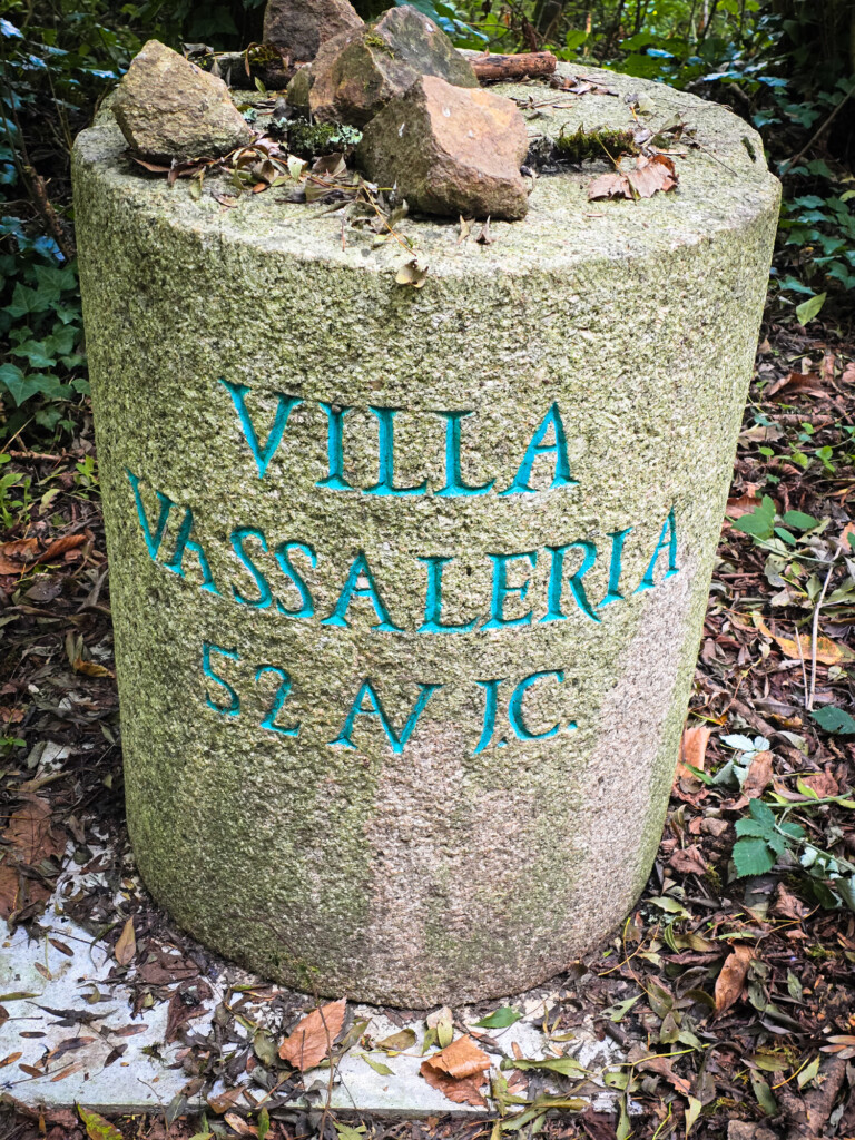 Vestiges de la villa vassaleria à chaillé sous les ormeaux