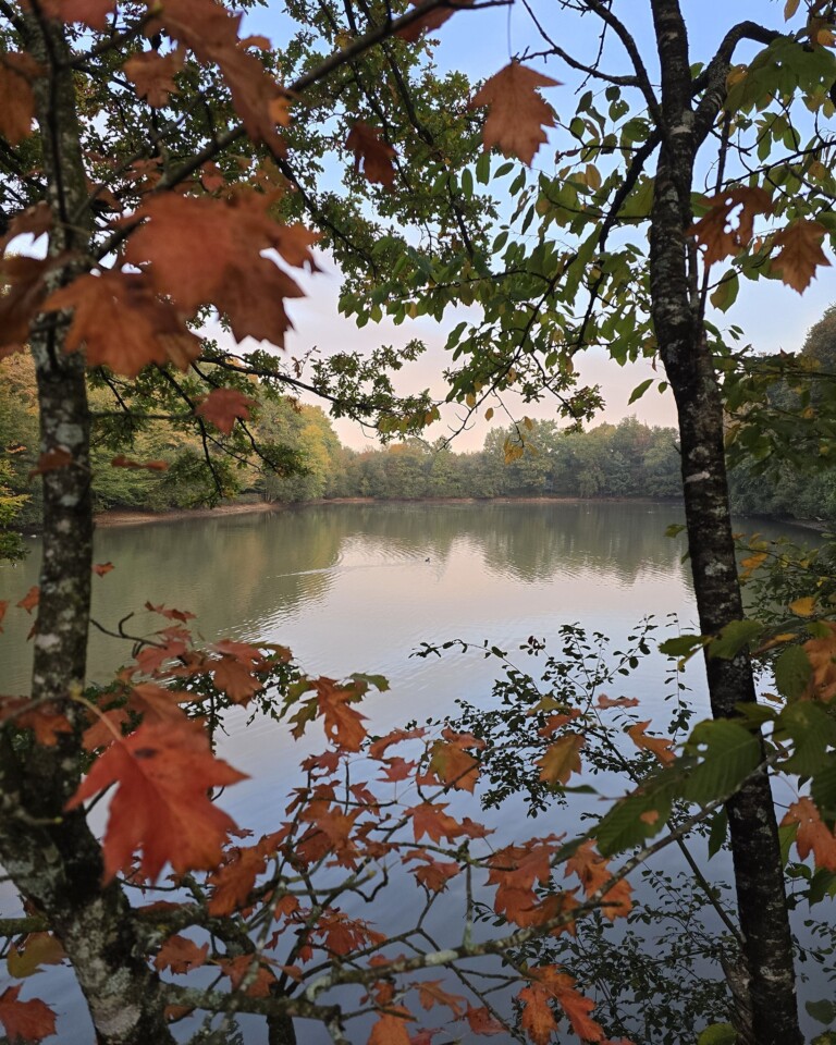 Vue sur le lac de Grasla